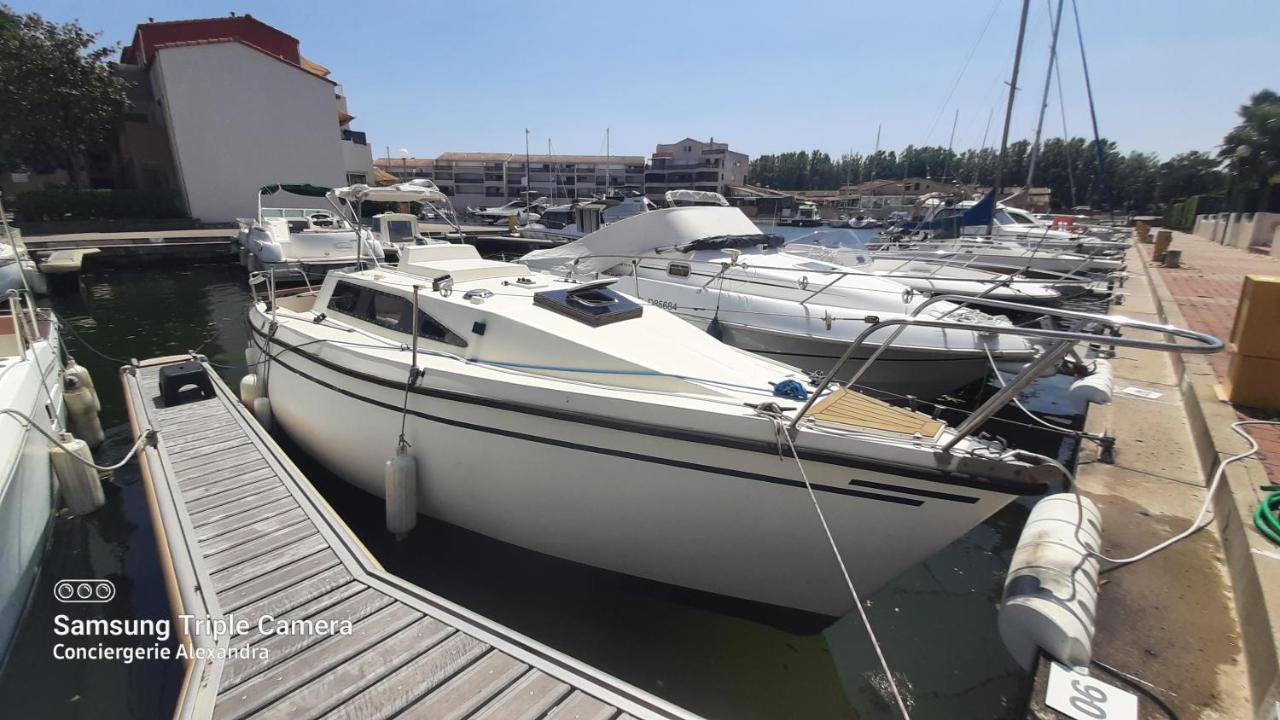 Nuit Insolite A Bord De L'Enata Un Voilier A Quai Sur La Marina De St Cyprien Saint-Cyprien  Dış mekan fotoğraf